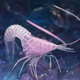 Illustration for article titled The ultimate New Years Eve party favor: the bendy-straw shrimp!